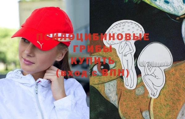 бошки Армянск