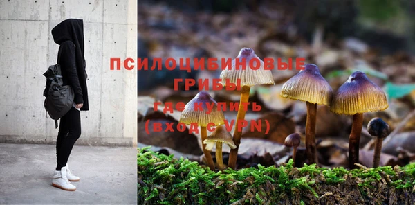 бошки Армянск